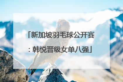 新加坡羽毛球公开赛：韩悦晋级女单八强