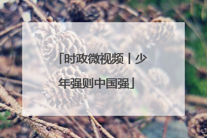 时政微视频丨少年强则中国强