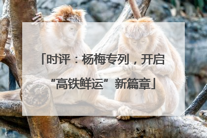 时评：杨梅专列，开启“高铁鲜运”新篇章
