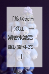 旅居云南｜澄江：一湖碧水激活旅居新生态
