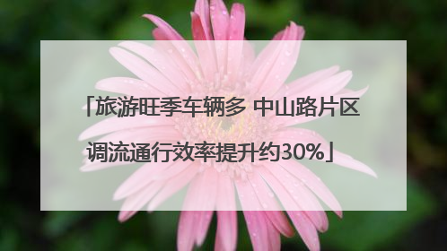 旅游旺季车辆多 中山路片区调流通行效率提升约30%