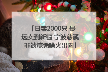 日卖2000只 最远卖到新疆 宁波慈溪非遗粽凭啥火出圈