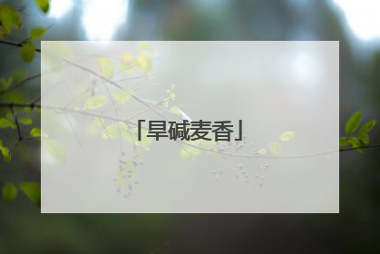 旱碱麦香