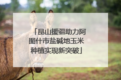 昆山援疆助力阿图什市盐碱地玉米种植实现新突破