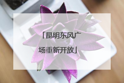 昆明东风广场重新开放