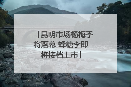 昆明市场杨梅季将落幕 蜂糖李即将接档上市