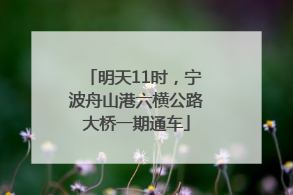 明天11时，宁波舟山港六横公路大桥一期通车