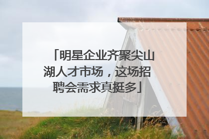 明星企业齐聚尖山湖人才市场，这场招聘会需求真挺多