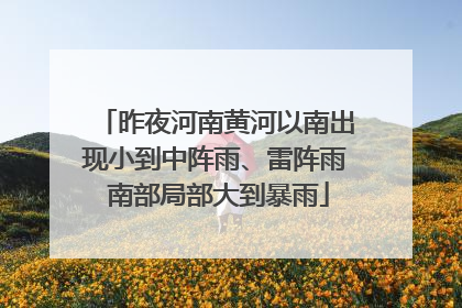 昨夜河南黄河以南出现小到中阵雨、雷阵雨 南部局部大到暴雨