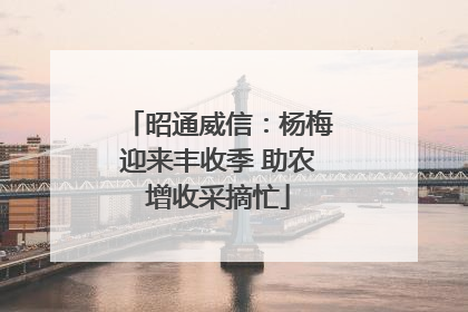 昭通威信：杨梅迎来丰收季 助农增收采摘忙