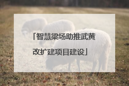 智慧梁场助推武黄改扩建项目建设