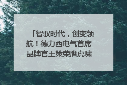 智驭时代，创变领航！德力西电气首席品牌官王策荣膺虎啸奖年度品牌人物