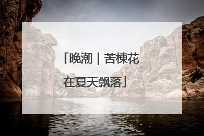 晚潮｜苦楝花在夏天飘落