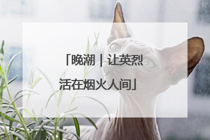 晚潮｜让英烈活在烟火人间