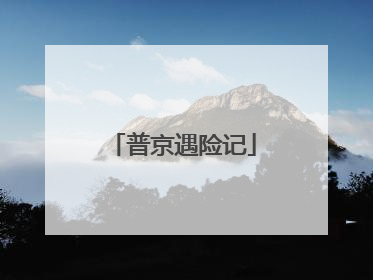普京遇险记