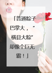 普通粽子巴掌大，“横县大粽”却像个巨无霸！