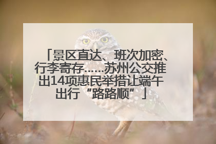 景区直达、班次加密、行李寄存……苏州公交推出14项惠民举措让端午出行“路路顺”