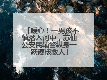 暖心！一男孩不慎落入河中，苏仙公安民辅警纵身一跃硬核救人