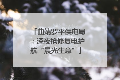 曲靖罗平供电局：深夜抢修复电护航“晨光生意”