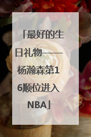 最好的生日礼物——杨瀚森第16顺位进入NBA