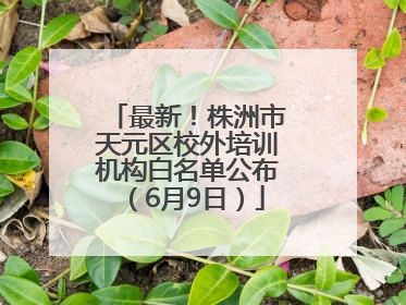最新！株洲市天元区校外培训机构白名单公布（6月9日）