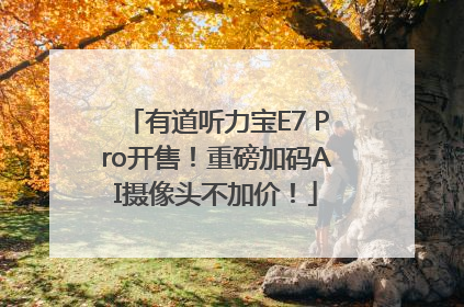 有道听力宝E7 Pro开售！重磅加码AI摄像头不加价！