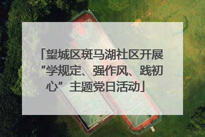 望城区斑马湖社区开展“学规定、强作风、践初心”主题党日活动