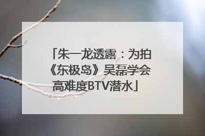 朱一龙透露：为拍《东极岛》吴磊学会高难度BTV潜水