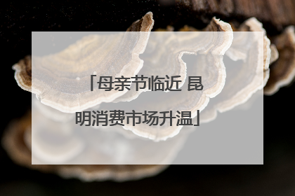 母亲节临近 昆明消费市场升温
