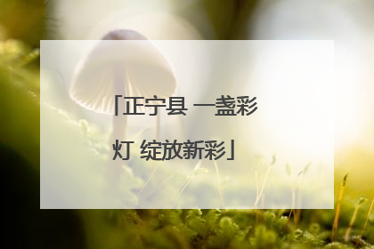 正宁县 一盏彩灯 绽放新彩