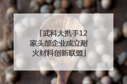 武科大携手12家头部企业成立耐火材料创新联盟