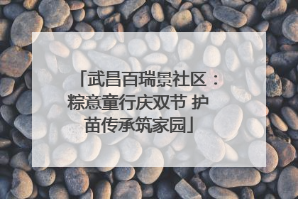 武昌百瑞景社区：粽意童行庆双节 护苗传承筑家园