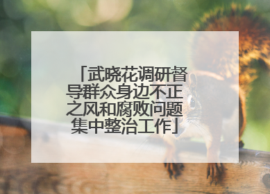 武晓花调研督导群众身边不正之风和腐败问题集中整治工作