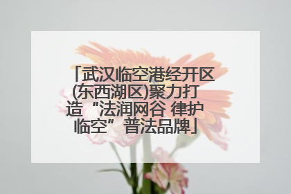 武汉临空港经开区(东西湖区)聚力打造“法润网谷 律护临空”普法品牌