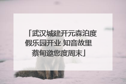 武汉城建开元森泊度假乐园开业 知音故里蔡甸邀您度周末