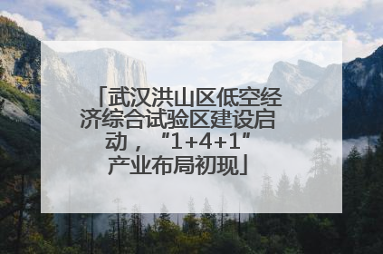 武汉洪山区低空经济综合试验区建设启动，“1+4+1”产业布局初现