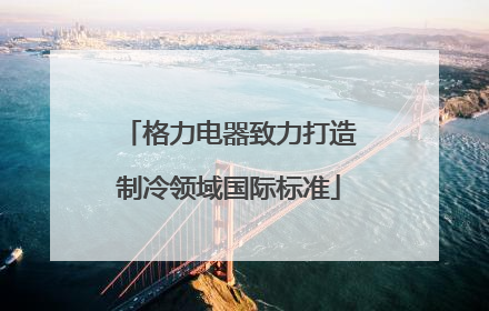 格力电器致力打造制冷领域国际标准