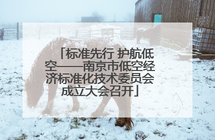 标准先行 护航低空——南京市低空经济标准化技术委员会成立大会召开
