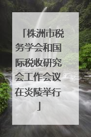 株洲市税务学会和国际税收研究会工作会议在炎陵举行