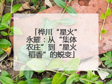 桦川“星火”永耀：从“集体农庄”到“星火稻香”的蜕变