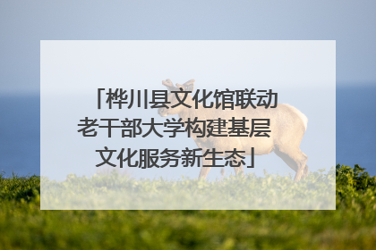 桦川县文化馆联动老干部大学构建基层文化服务新生态