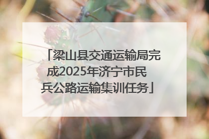 梁山县交通运输局完成2025年济宁市民兵公路运输集训任务