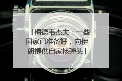 梅德韦杰夫：一些国家已准备好，向伊朗提供自家核弹头