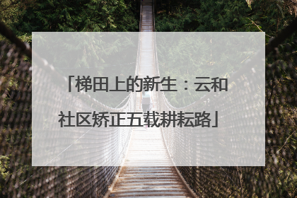 梯田上的新生：云和社区矫正五载耕耘路