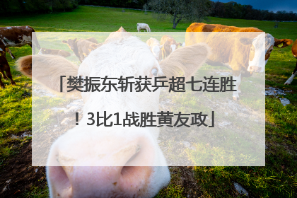 樊振东斩获乒超七连胜！3比1战胜黄友政
