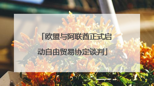 欧盟与阿联酋正式启动自由贸易协定谈判