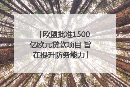 欧盟批准1500亿欧元贷款项目 旨在提升防务能力