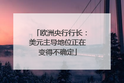 欧洲央行行长：美元主导地位正在变得不确定