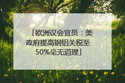 欧洲议会官员：美政府提高钢铝关税至50%毫无道理