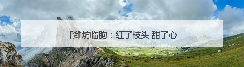 潍坊临朐：红了枝头 甜了心头 油桃丰收季果农笑开颜